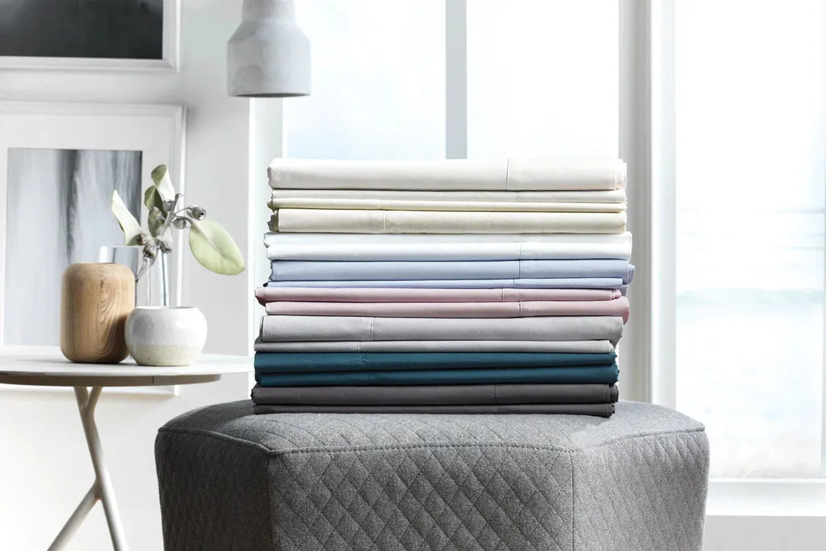 300TC Classic Percale European Pillowcase FRESCO by Sheridan