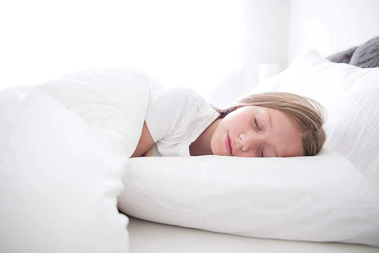 Creative Bedding Fossfill Pillow | Antibacterial