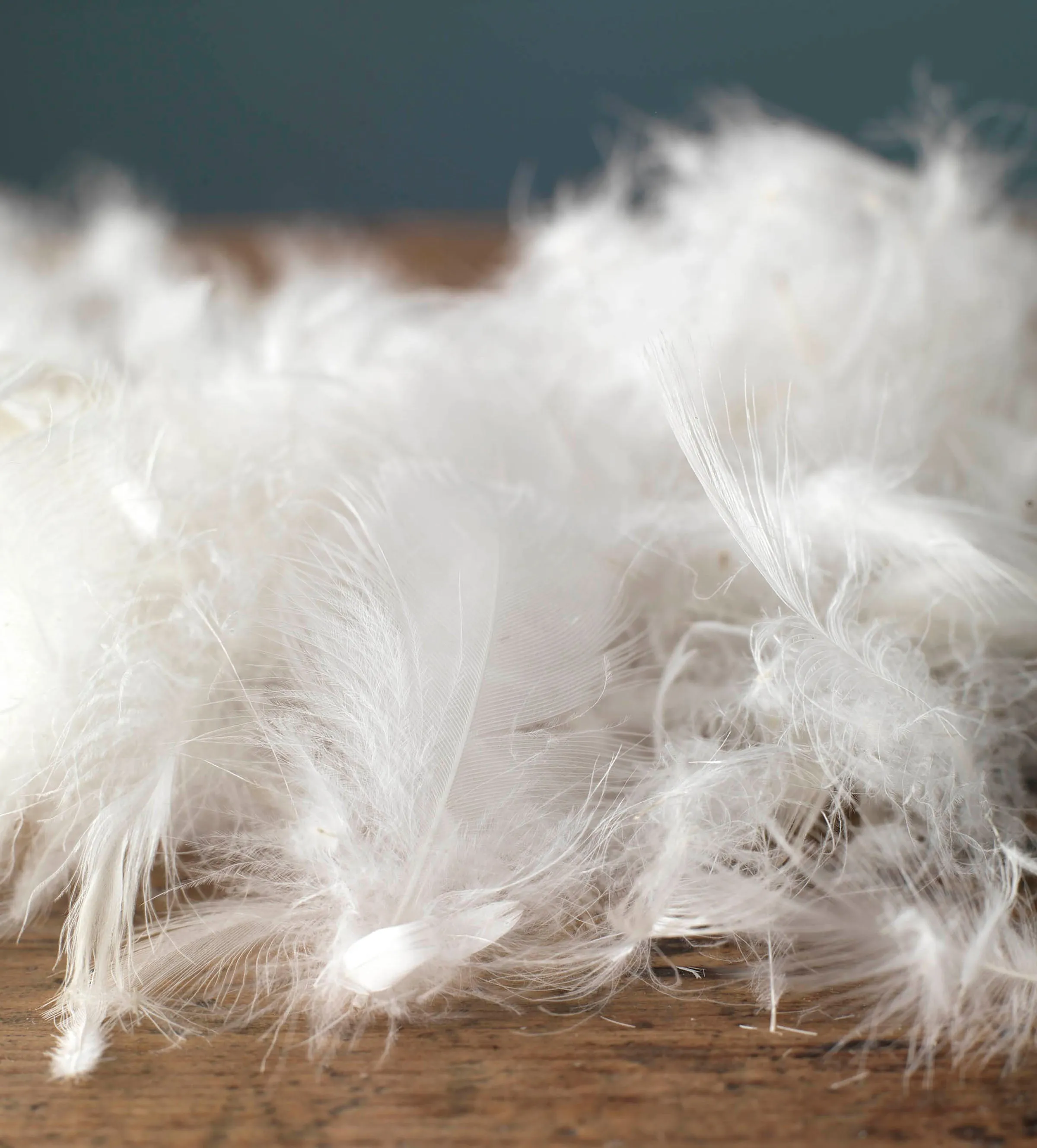 Great Goose Duvet - Hungarian Goose Feather & Down - Single