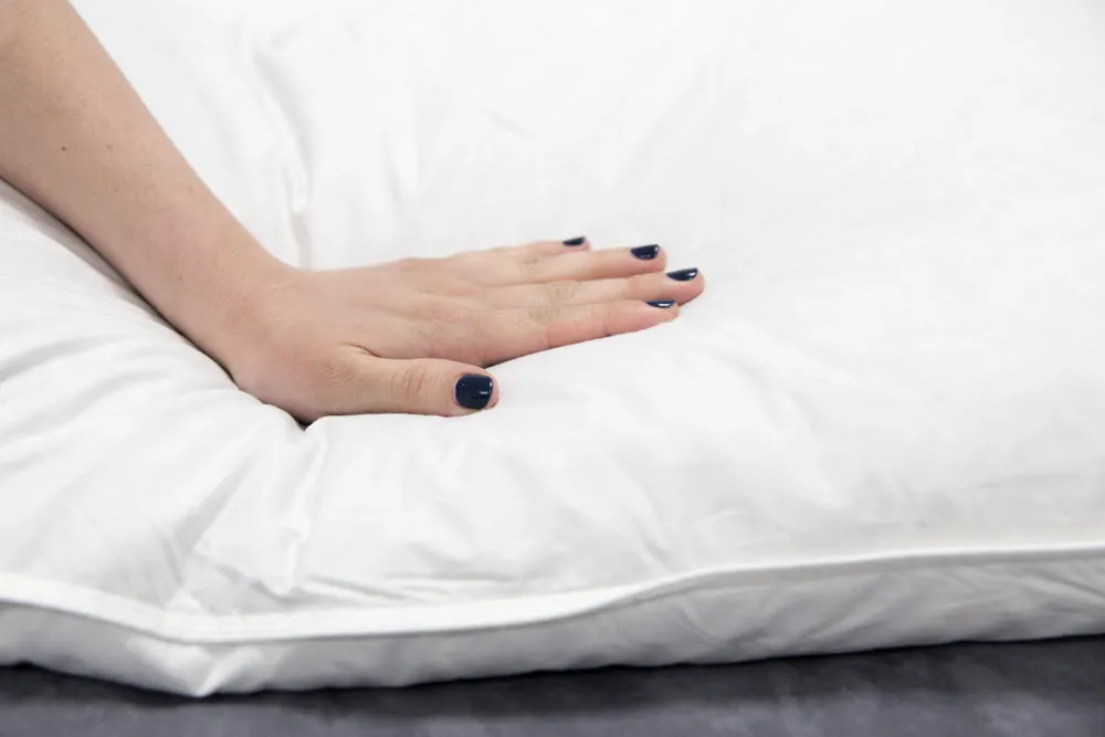 Holiday Inn<sup>®</sup> Touch of Down Feather & Down Pillow | Soft Support