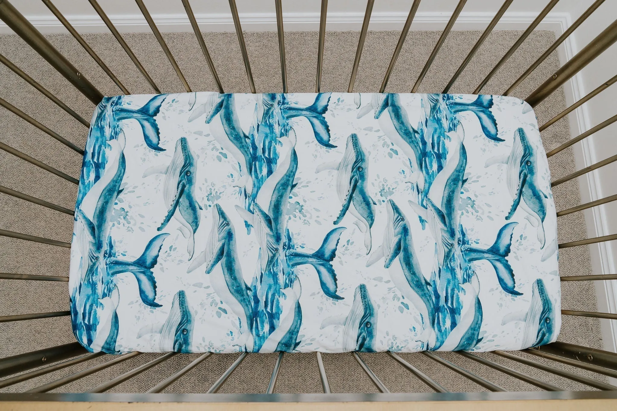 *PRE-ORDER* Waterproof Cot Sheet - License to Krill